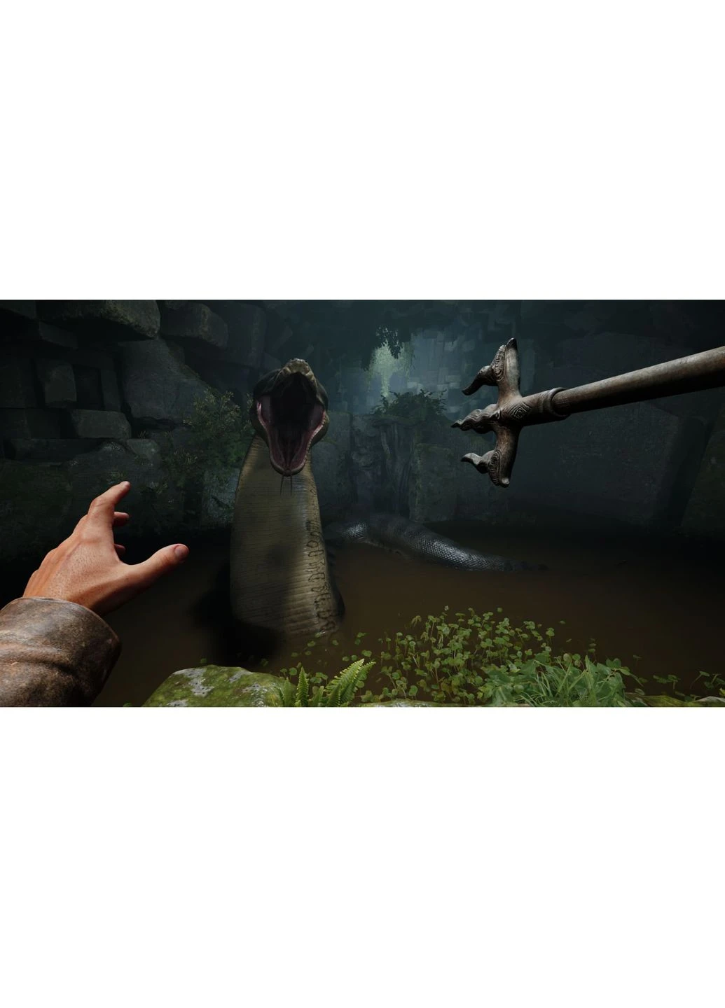 Игра консольная Switch 2 Indiana Jones and the Great Circle, картридж Games Software (393165376)