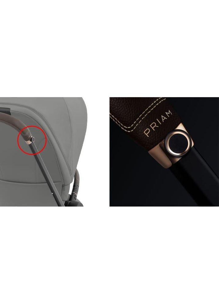 Прогулянкова коляска Priam 4.0 Cozy Beige рама Rosegold Cybex (367983366)