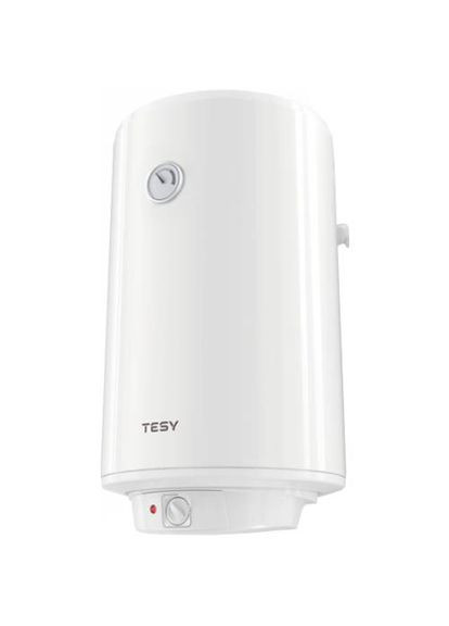 Бойлер DRY 100V TESY (307285201)