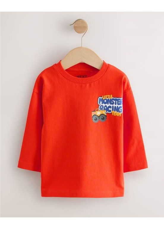 Разноцветный демисезонный лонгслив Next Trend