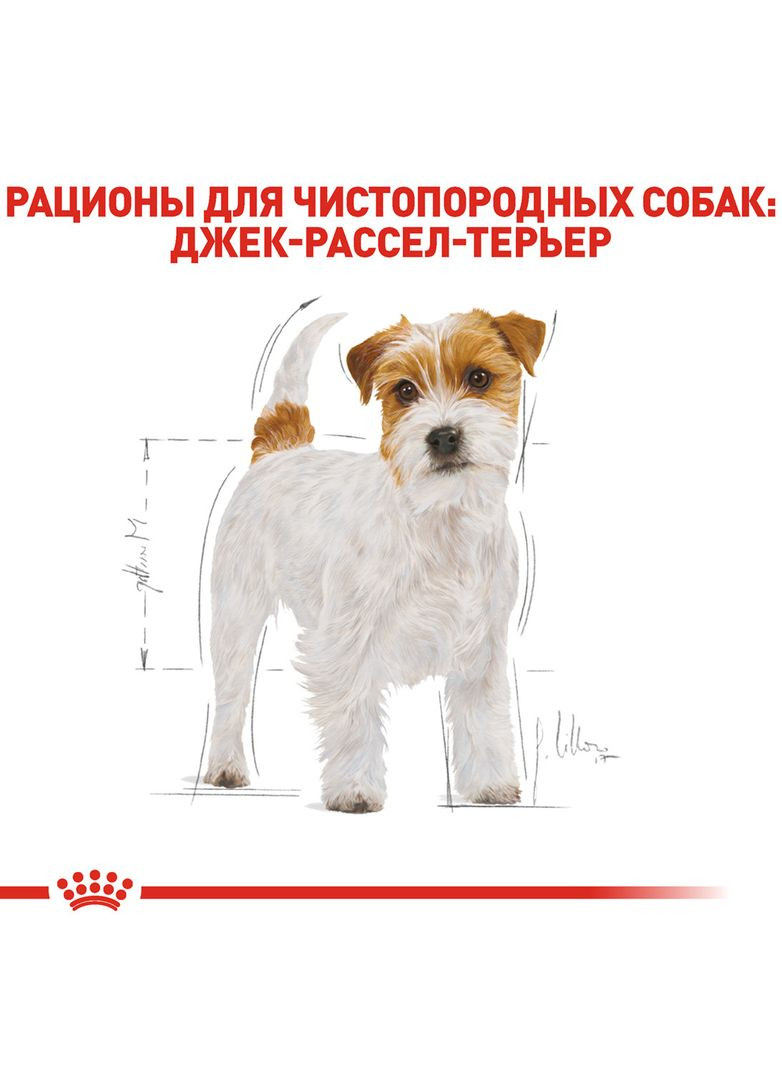 Сухой корм Jack Russell Terrier Adult для собак породы Джек-рассел-терьер 1.5 кг (3182550821414) Royal Canin (316226844)
