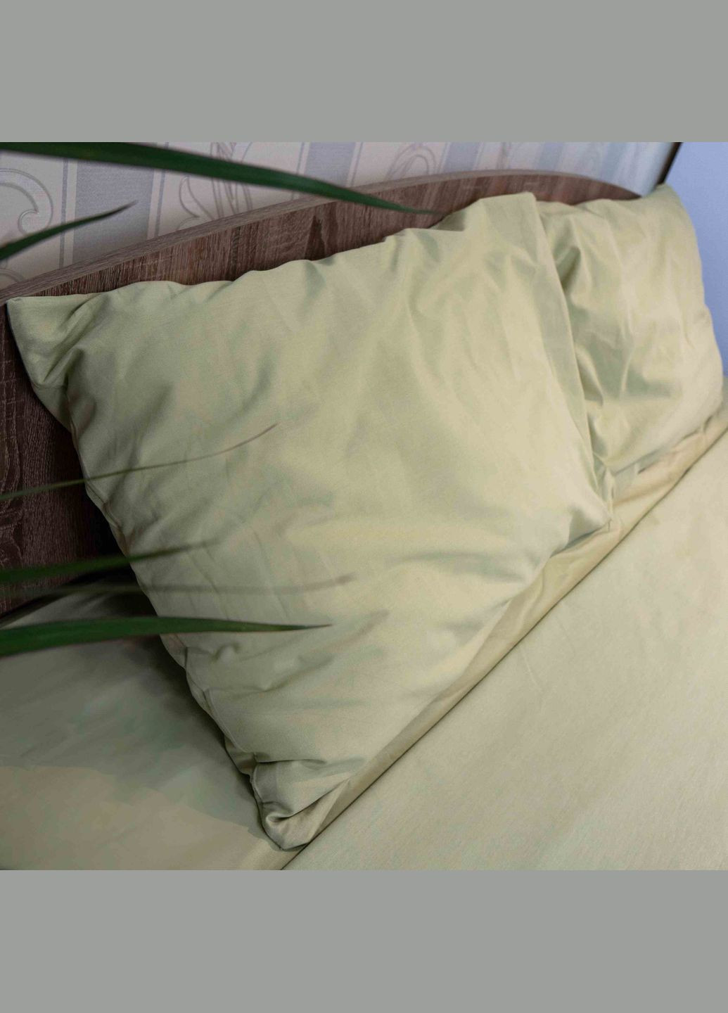 Комплект постельного белья Евро 200х220 Поплин 120 г/м2 Хлопок (Оливковый) 2 х 50х70 GM Textile (273378608)