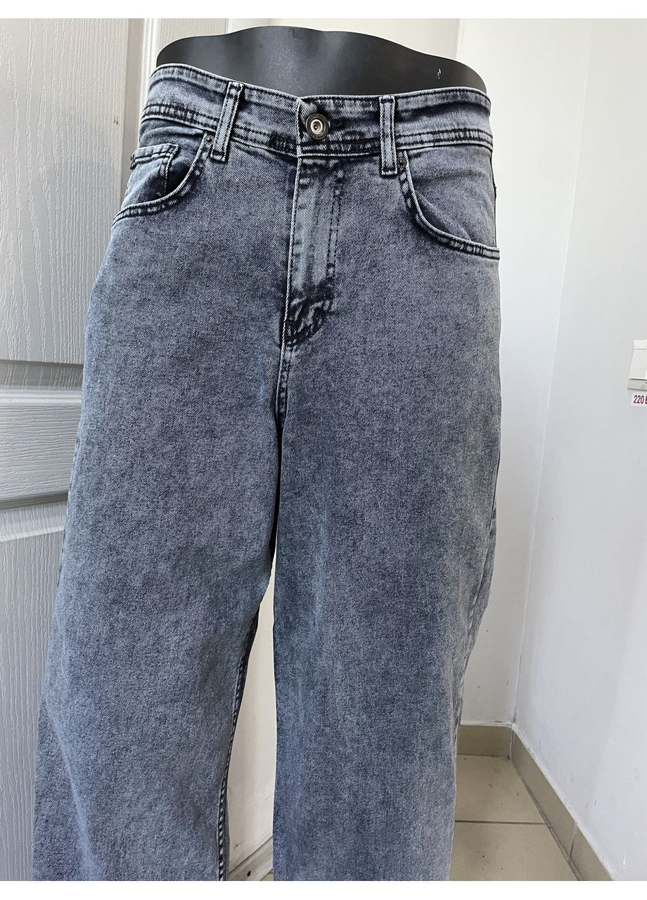 Джинси чоловічі широкі баггі прямі стрейч 29 сірі DESTRY (354332046)