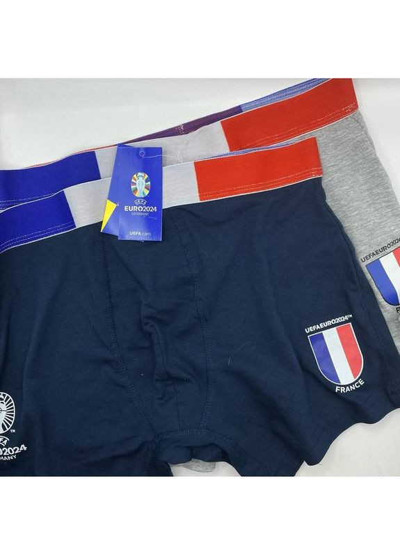 Набір чоловічих трусів боксерів Livergy боксери (349817956)