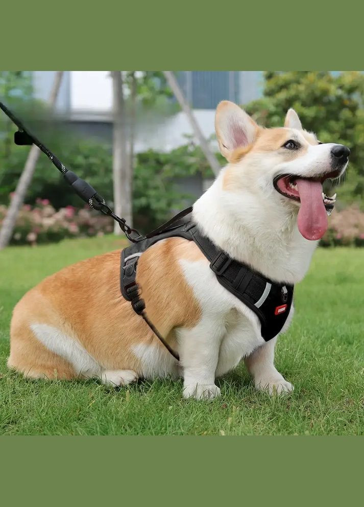 Нейлонова шлейка для собак до 100 кг. Pet Style "DuoMM" Чорна No Brand (318359511)