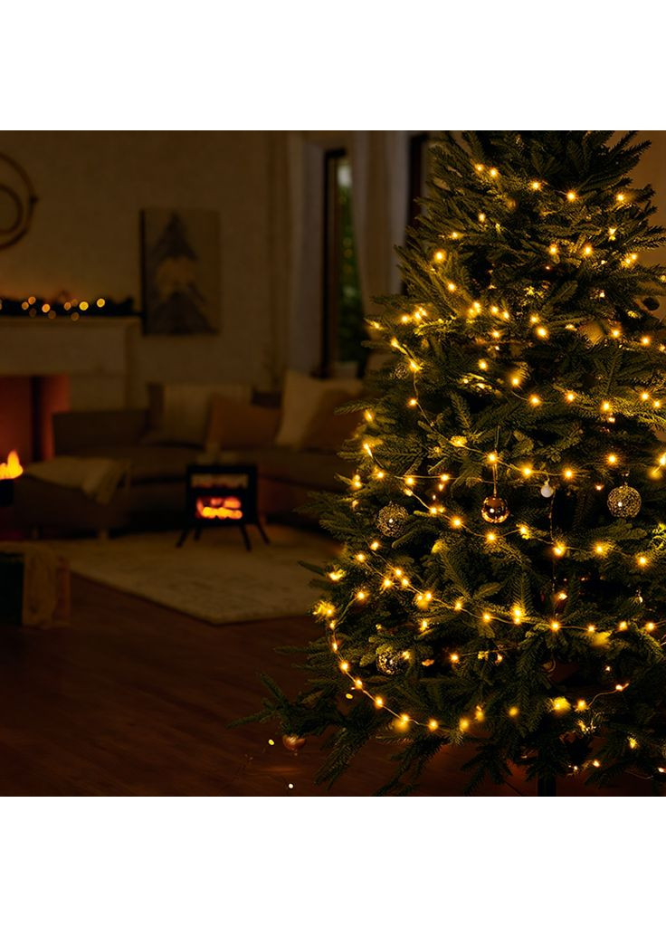 Гірлянда Різдвяна фея вулична 50 м 500 LED білий провід Жовтий CF500L50MWY Garlando (370801189)