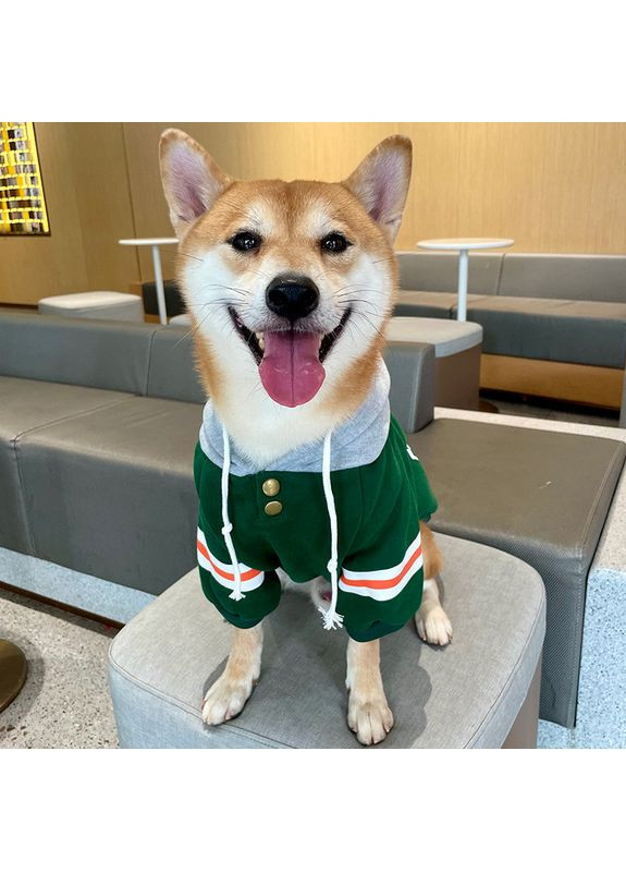 Худые для собак No Brand (362136170)