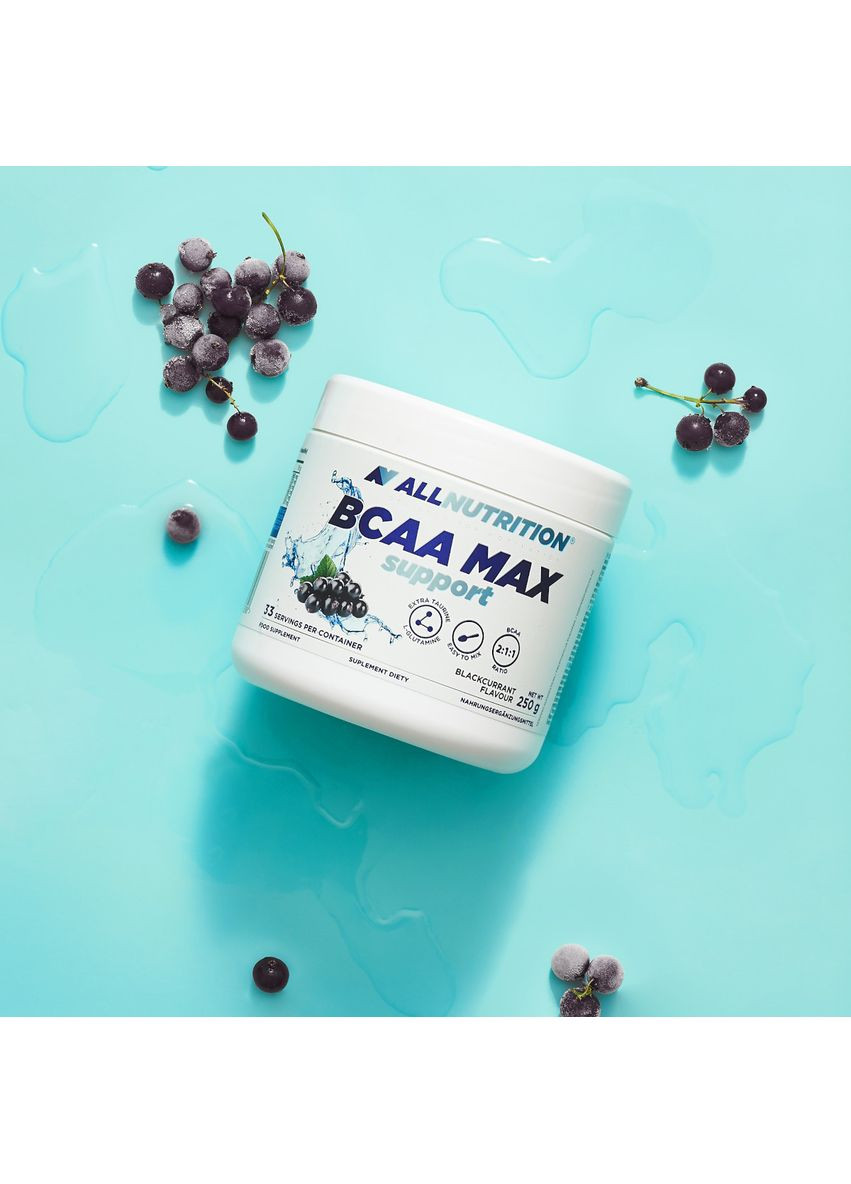 Бцаа BCAA MAX SUPPORT 250 г (разные вкусы) Allnutrition (365806805)