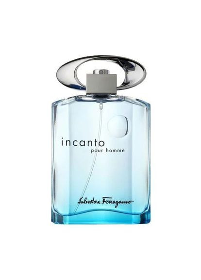 Incanto Blue Pour Homme 100 мл Туалетна вода Ferragamo (340455528)