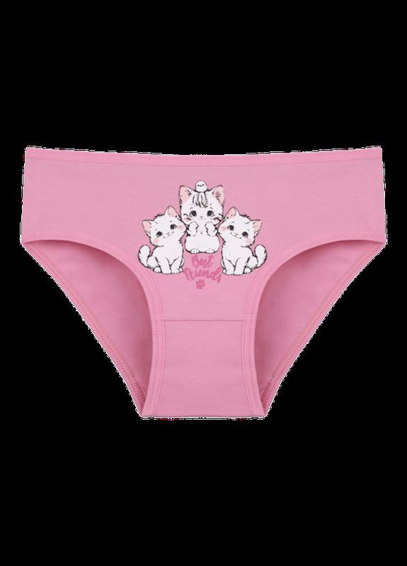 Трусы слипы для девочки с принтом Best Friends Donella Сліпи (342025917)