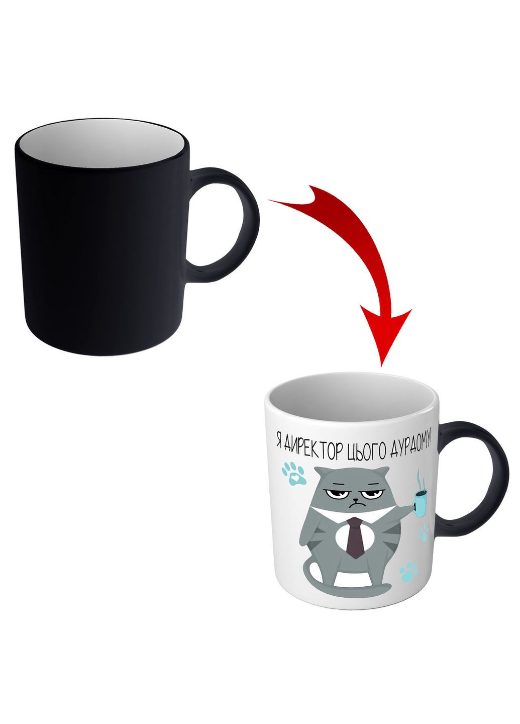 Прикольная чашка хамелеон для директора - Я директор этого дурдома No Brand (302523394)