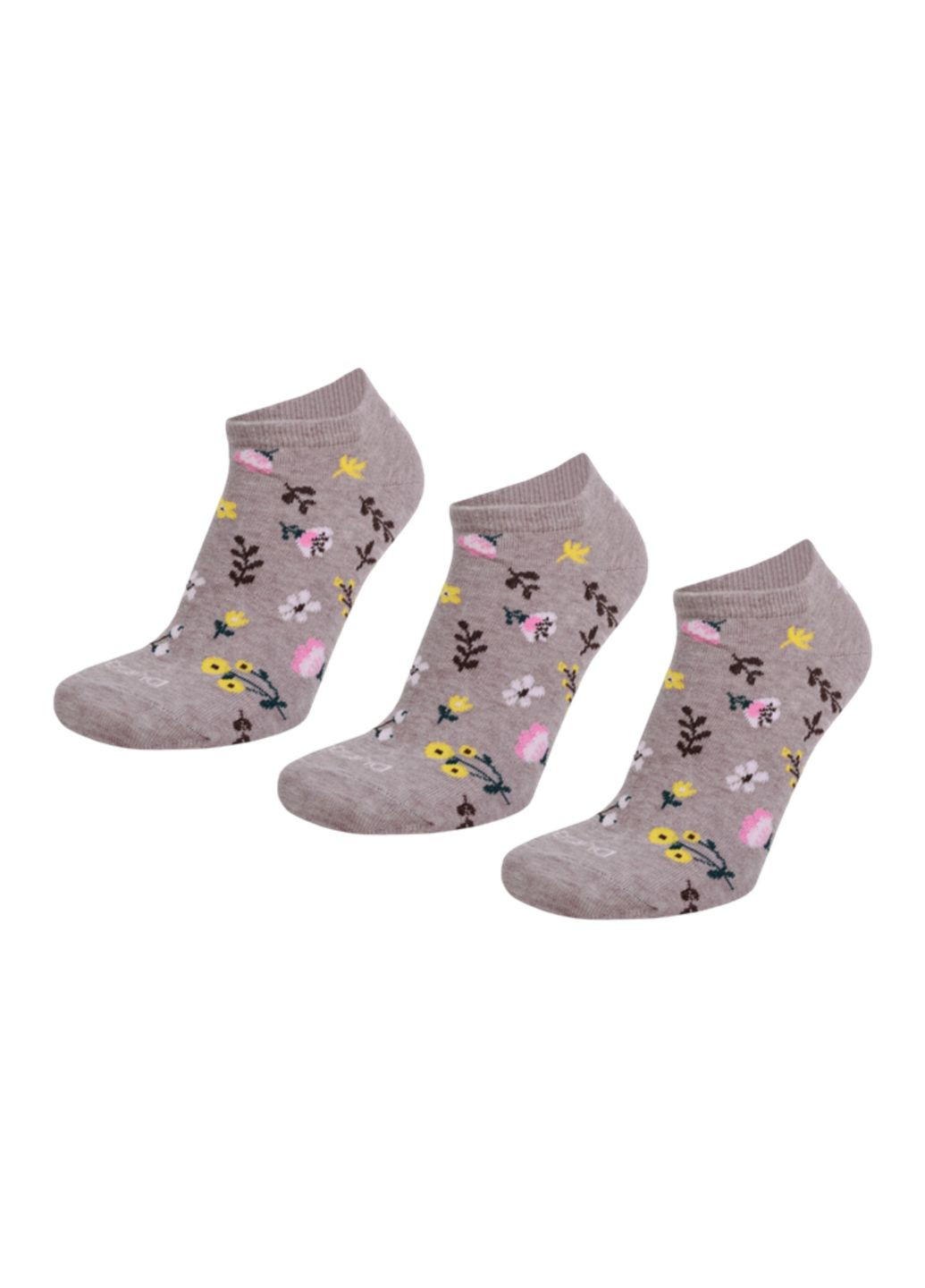 Темно-бежевые набор (3 шт.) женских носков Duna (305849502)