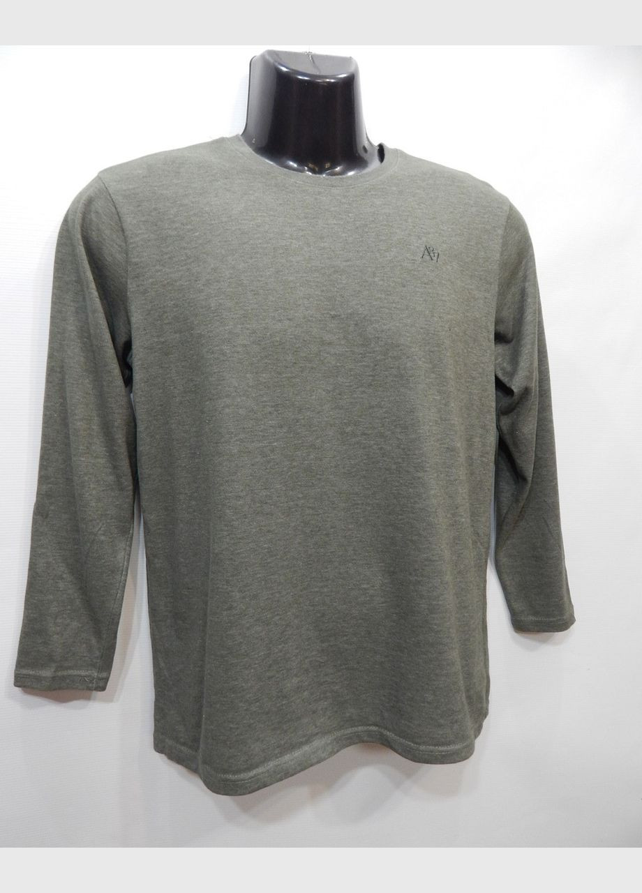 Оливковый демисезонный повседневный лонгслив Aeropostale однотонный