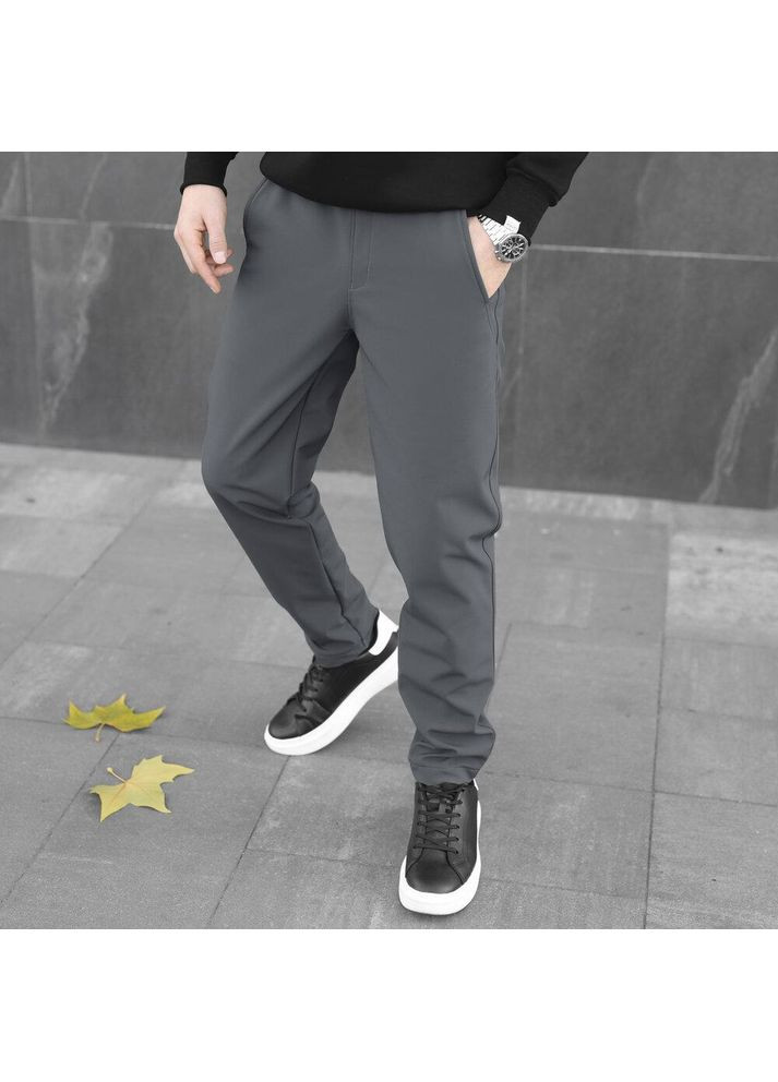 Чоловічі штани демісезонні Soft Shell сірі Freedom (357235843)