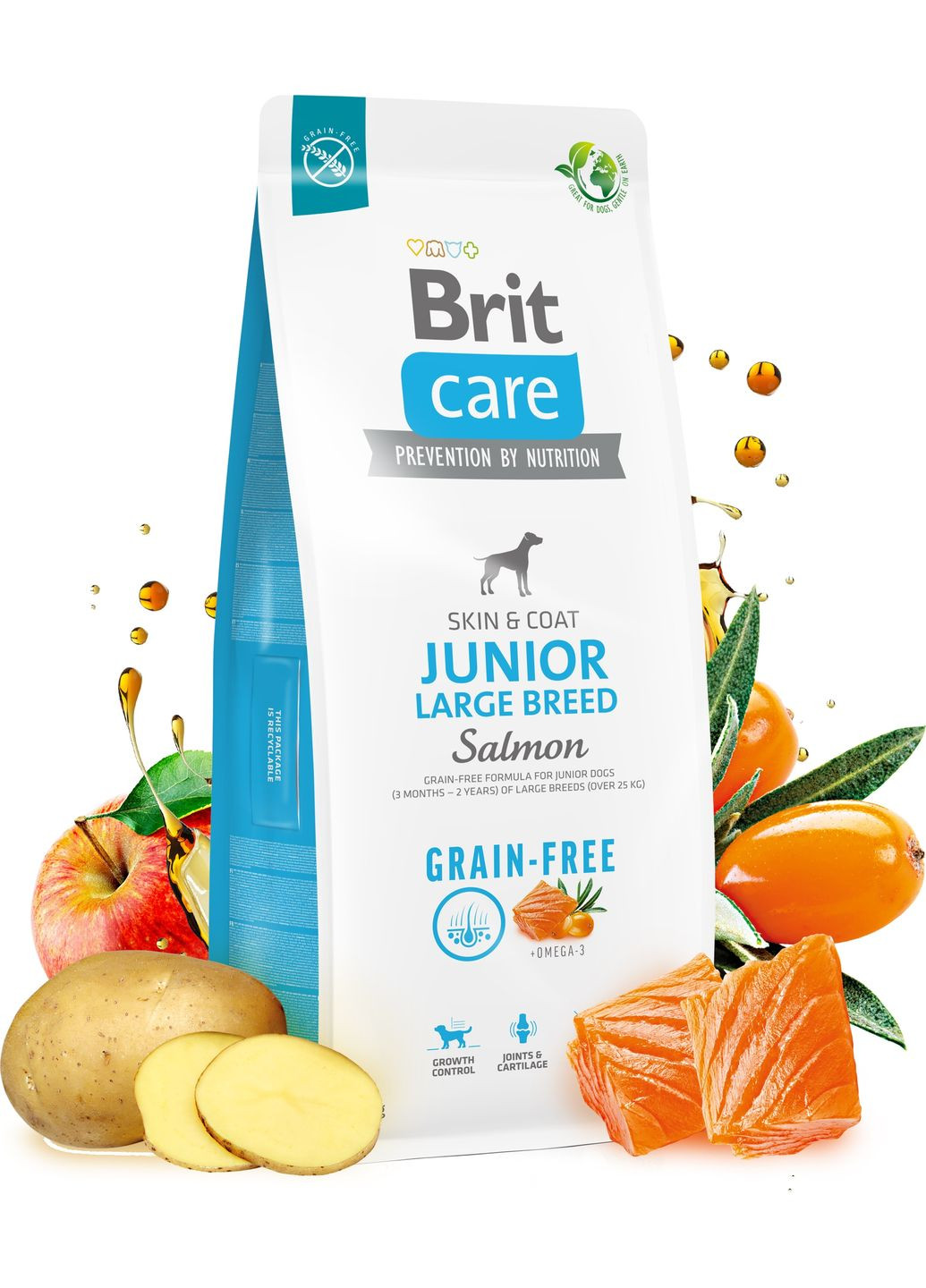 Корм для молодих собак великих порід Dog Grain-free Junior Large Breed беззерновий з лососем 1 кг (8595602558889) Brit Care (316226667)