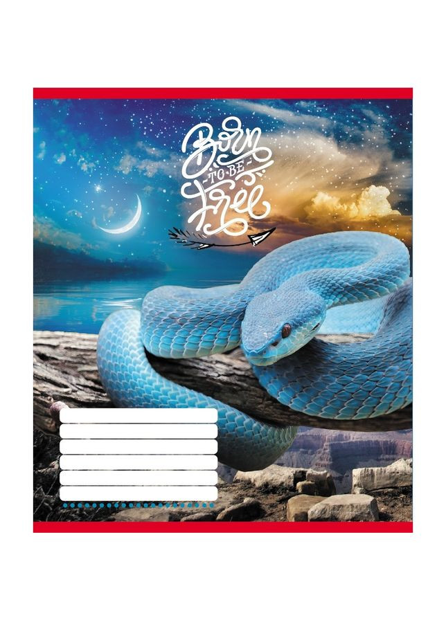 Тетрадь ученическая "Животные" 018-530247K-5 в клеточку, 18 листов Leader (353966923)