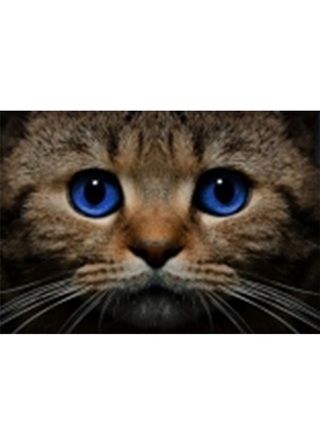 Набор Алмазная мозаика вышивка Взгляд голубоглазого кота серый кошка на подрамнике полная 5d 40х50 No Brand (332207953)