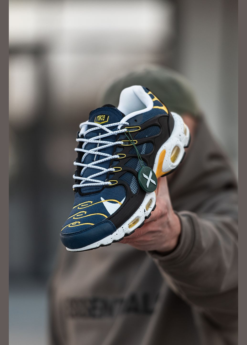 Синие демисезонные кроссовки мужские Nike Air Max TN Terrascape