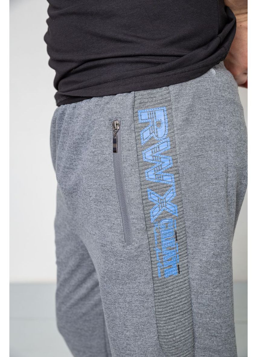 Серые демисезонные брюки Ager