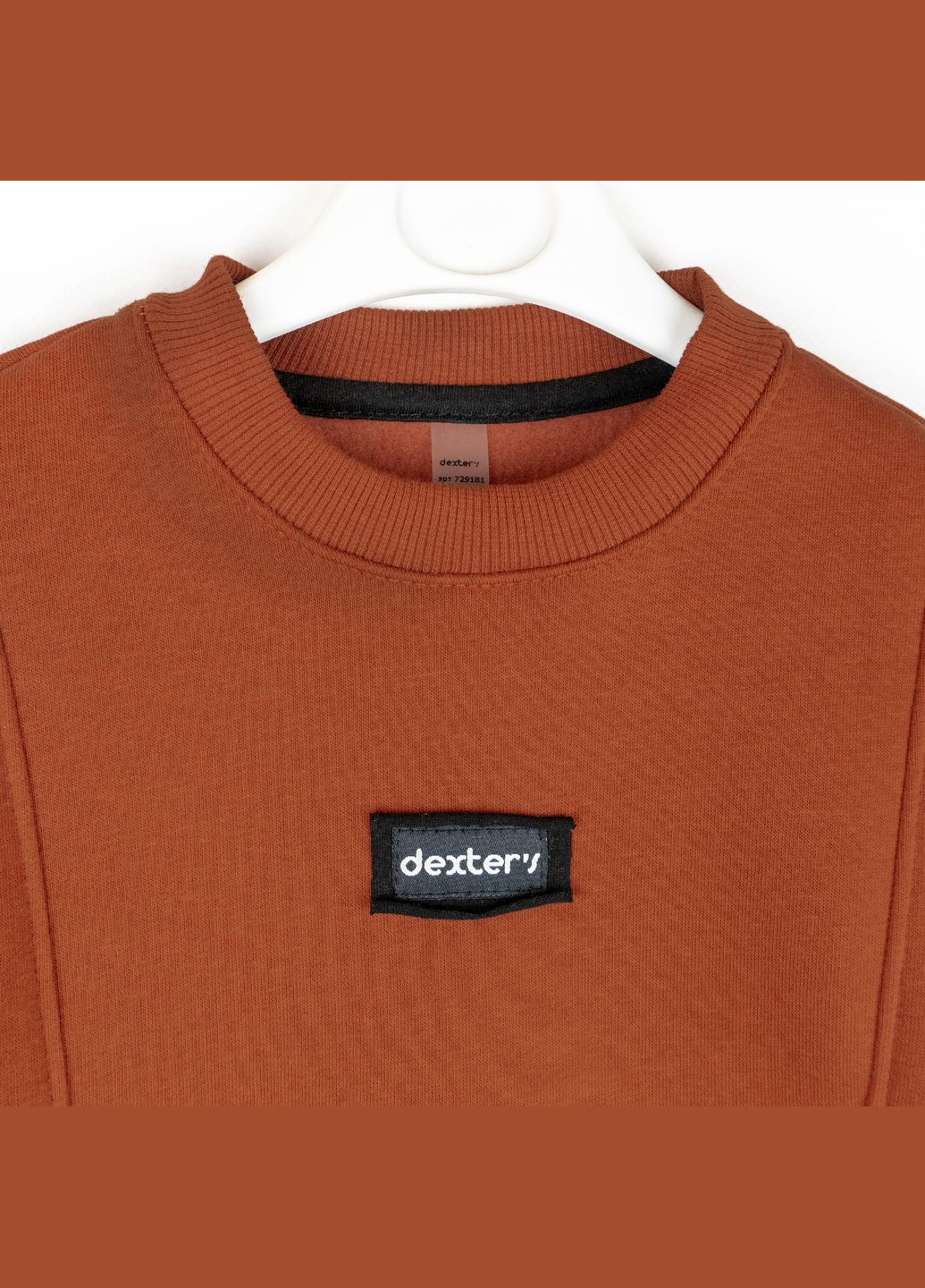 Детский теплый костюм Dexter`s на флисе cinnamon dexter's (322583363)