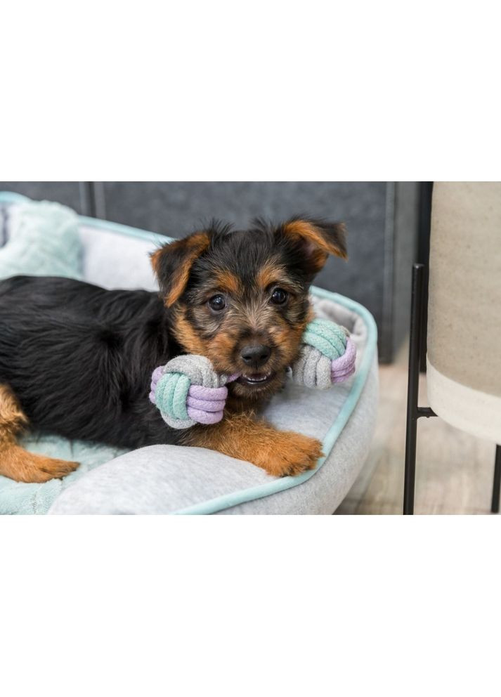 Іграшка Junior Rope Dumbbell для цуценят Гантель з канатом котон 15 см Trixie (362702043)