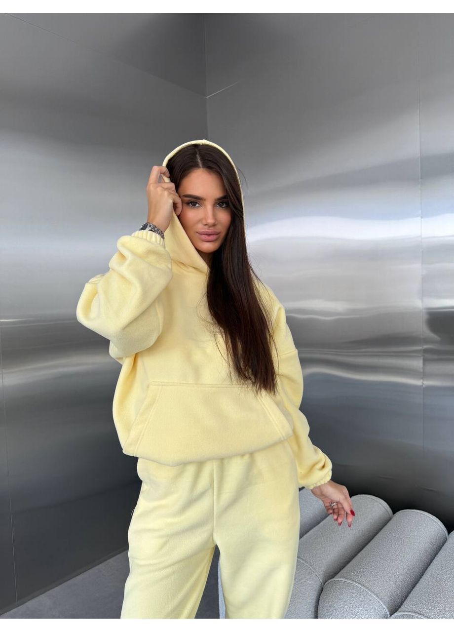 Жіночий костюм із двостороннього флісу (худі + джогери) No Brand (363262513)