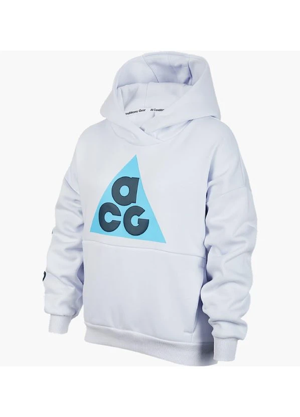 Худи Acg Icon Fleece Grey FB4343-085 Nike (397989957)