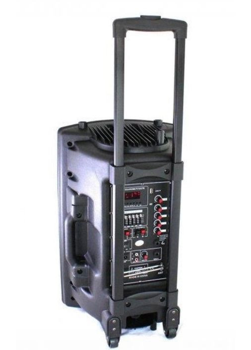 Акустична система Su-Kam BT 150D + 2 мікрофони 150 Вт 7500 mAh black (1924452660) No Brand (325816749)