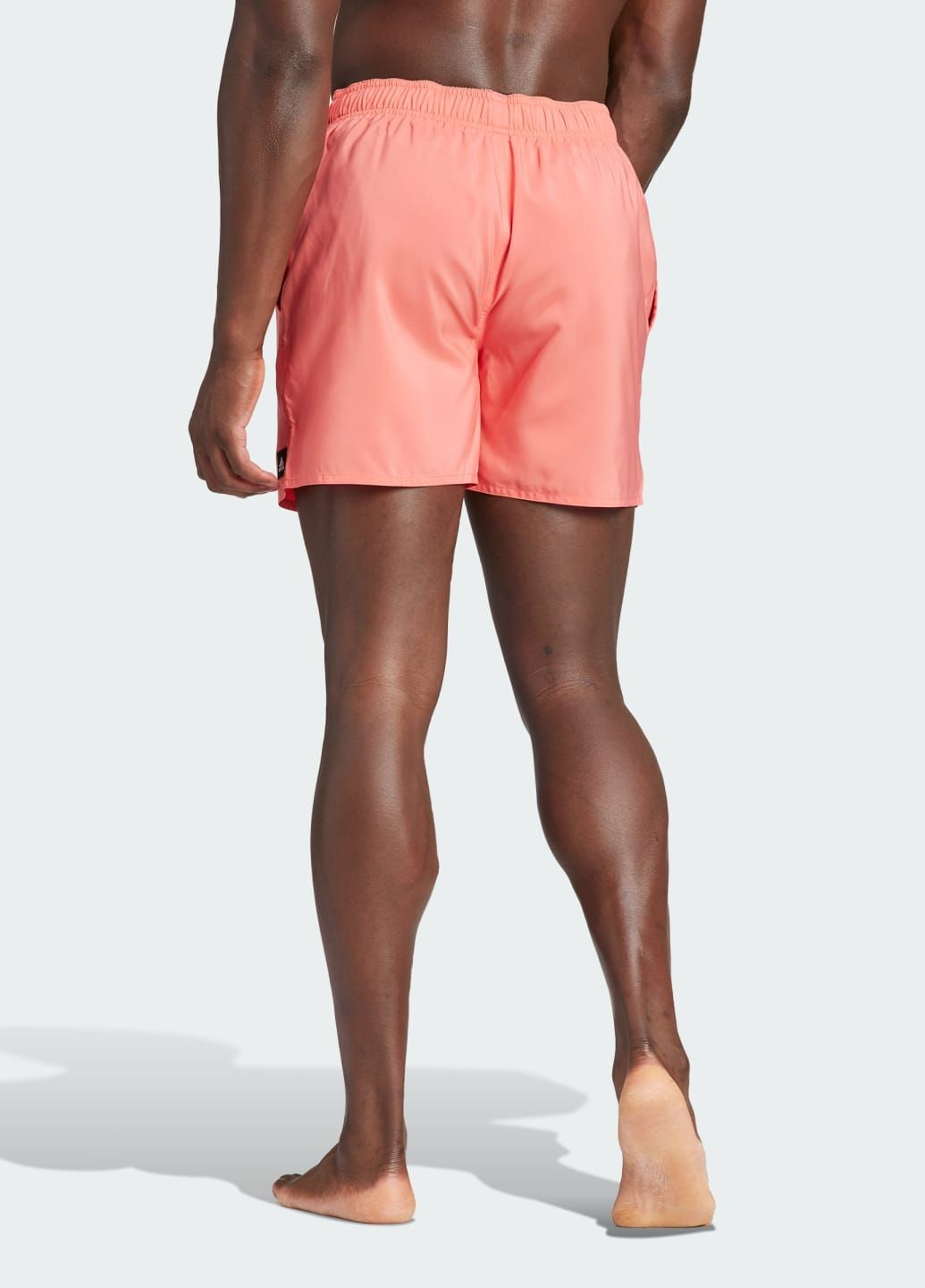 Плавальні шорти Solid CLX Short-Length adidas (283250557)