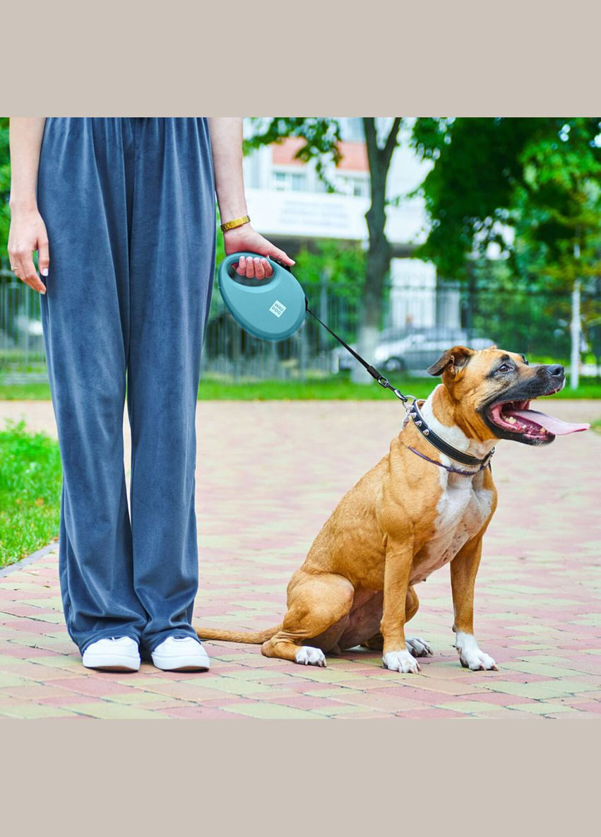 Повідець-рулетка для собак R-leash з контейнером для пакетів, світловідбивна стрічка, L, до 40 кг, 5 м, блакитний WAUDOG (322642988)