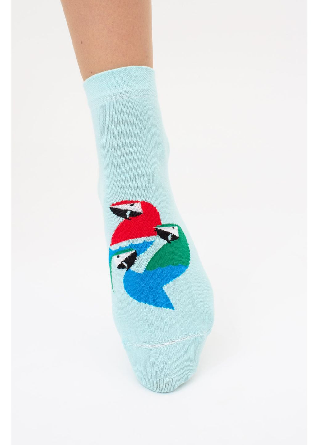 Голубые набор женских носков 2 пары Giulia анималистичные (351854722)