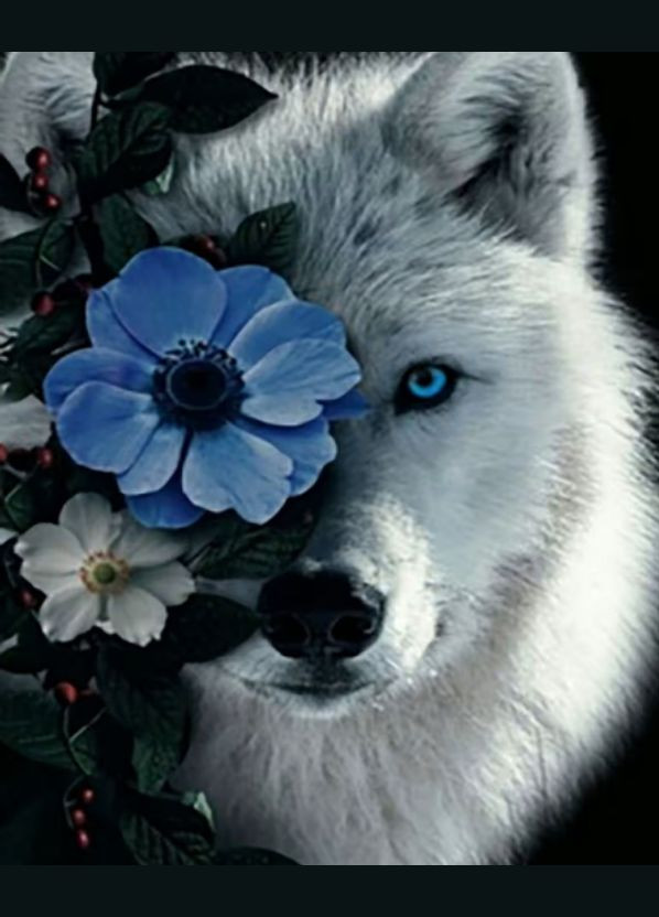 Алмазная мозаика Белый волк (без подрамника) 40х50 см JSFH85892 ( ) Strateg (328946035)