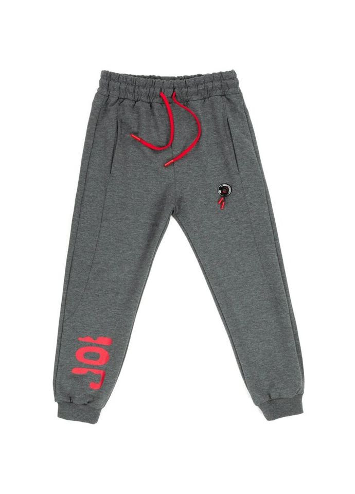 Штани дитячі спортивні (A-227-140B-gray) Joi (300856965)