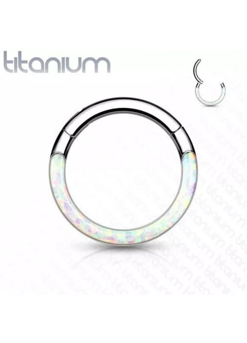 Кольцо кликер из титана RHT44-1610-OP17 серьги для пирсинга септума, трагуса и хеликса (1,2мм, 10мм) Spikes (333698455)