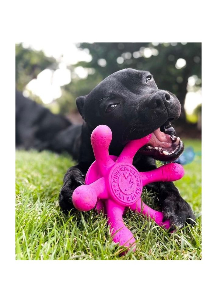 Игрушка «Осьминог» для собак, розовый, 13 см Kiwi Walker (362702693)
