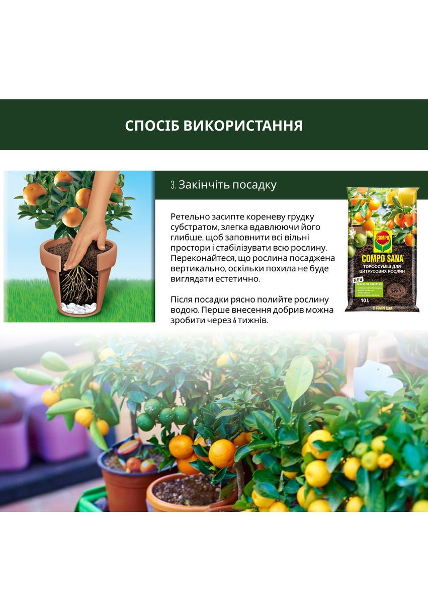 Торфосуміш для цитрусових рослин SANA® 10л (A013937) Compo (315150305)