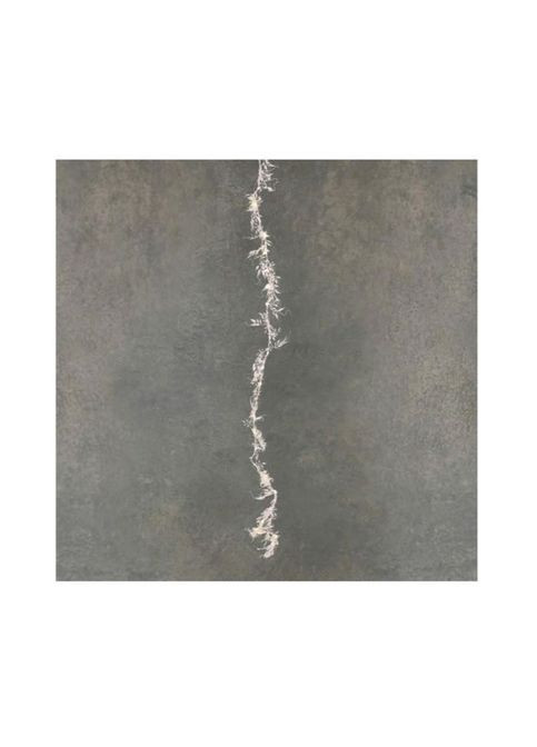 Гирлянда Пестрая ветка холодный белый 150 см (8718861841015) Luca Lighting Пестрая гілка холодний білий 150 см (361110864)