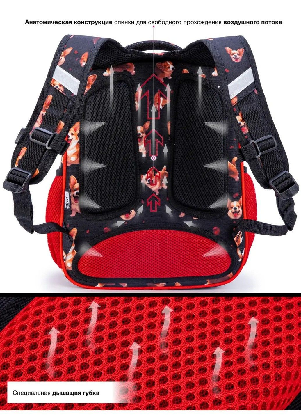 Рюкзак школьный для девочек /SkyName R2-213 Winner (331532385)