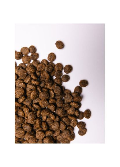 Сухой корм Small для собак малых пород, со свежим ягненком и индейкой, 1 кг (*) Savory (323219521)