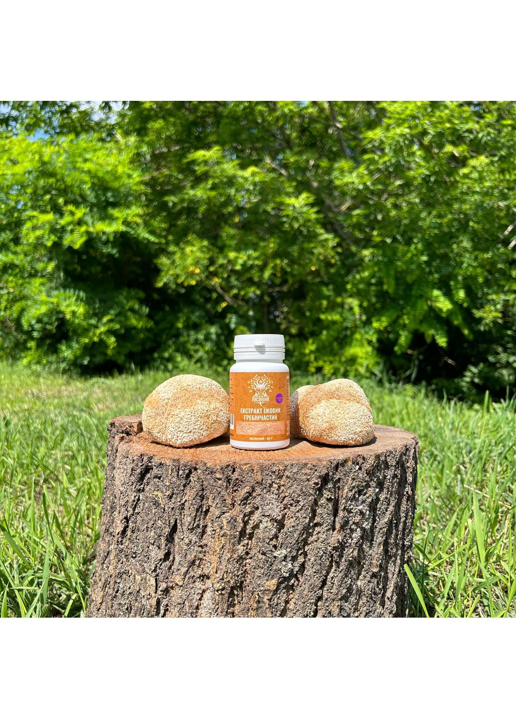 Экстракт Ежовика гребенчатого, молотый 50 г Лісовик (337336466)