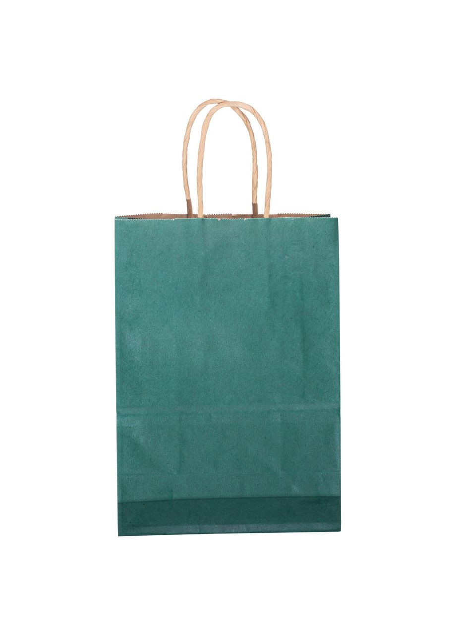 Набор подарочных крафтовых пакетов из бумаги 12 (шт) красивые пакеты для подарков 15×8×21 (см) Зеленый HP-10359-5GR Yiwu (370969155)