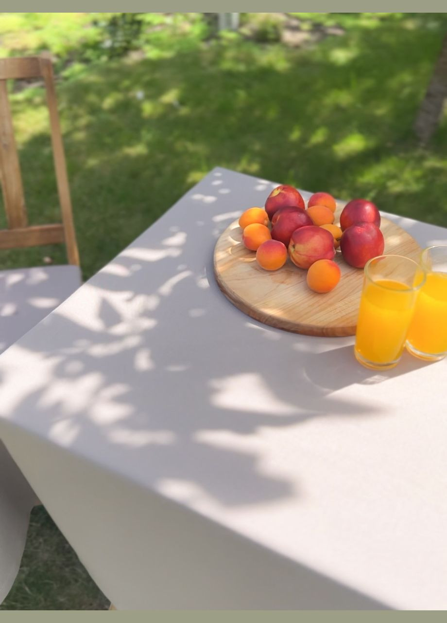 Водовідштовхувальна Скатертина "Капучино однотон" 100х100 см (+ 4 серветки 30х40) No Brand (317275474)