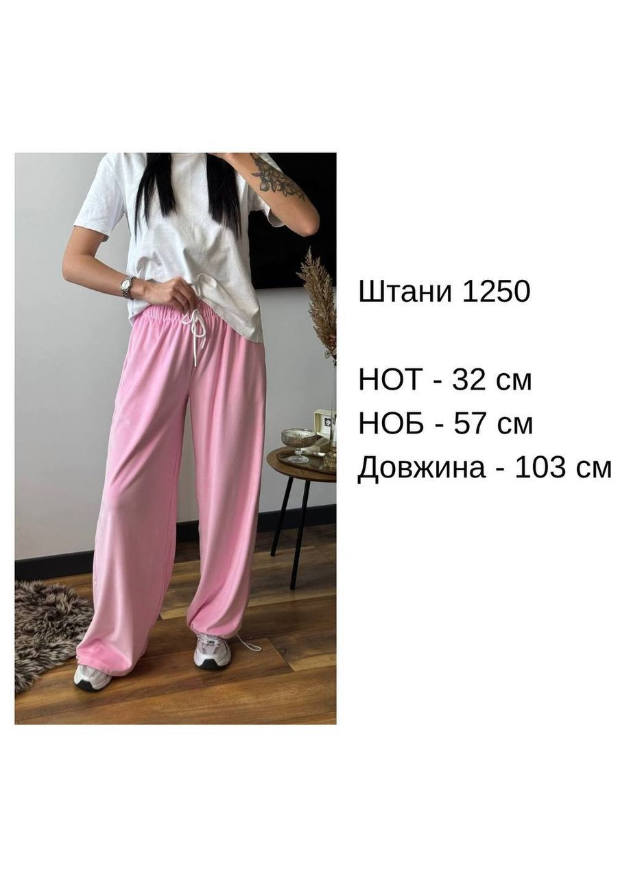 Велюрові штани Osoblyva (361831159)