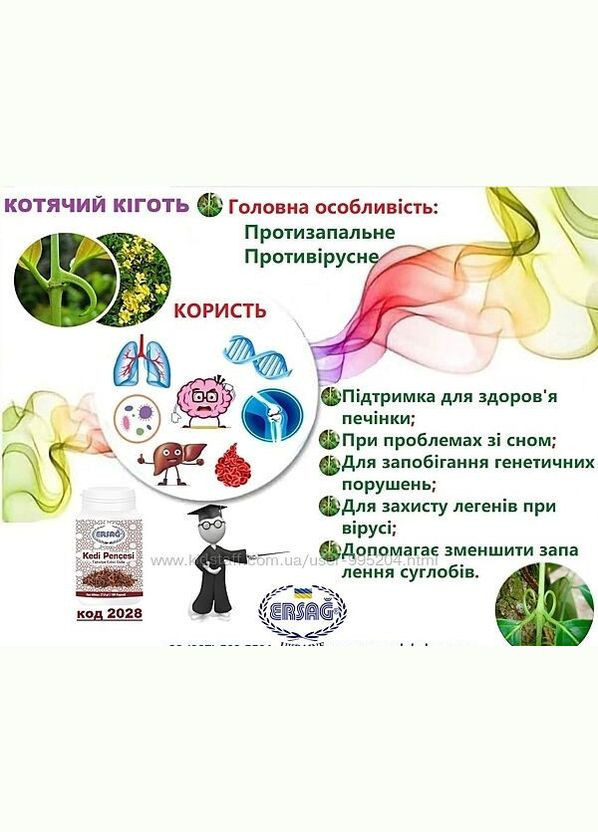 Эрсаг Кошачий коготь иммунитет, печень, ЖКТ, детокс, онко, лимфа Ерсаг (315818115)