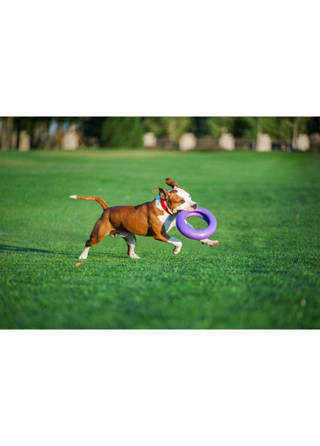 Тренувальний снаряд для собак PULLER Мaxi, (діаметр 30см) No Brand (363200682)