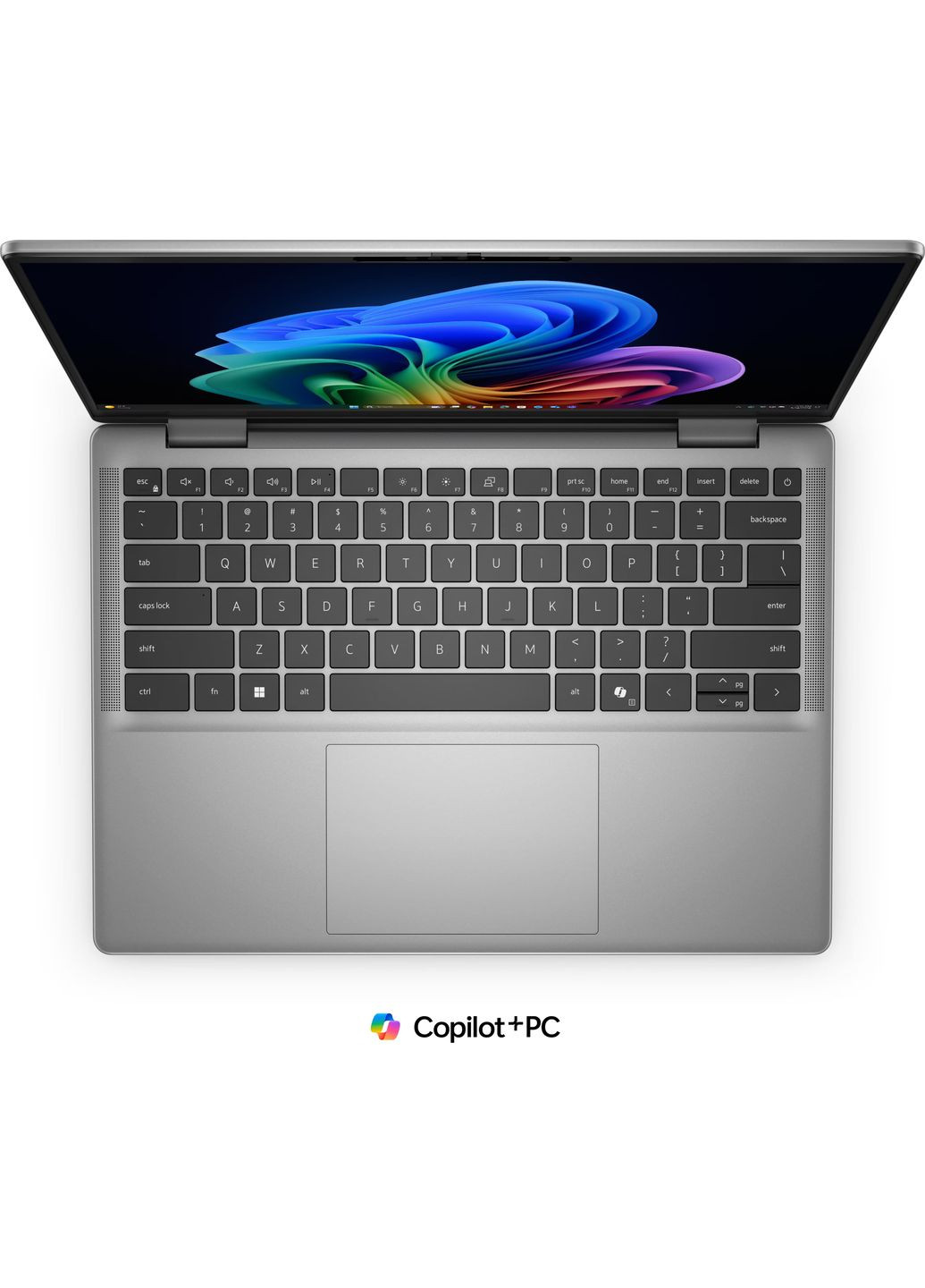 Ноутбук Dell (361965569)