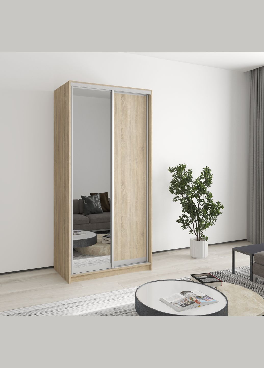 Шкаф-купе двухдверный Стандарт AL ДСП/Зеркало 100x45x210 см (MBS-2369) MebelStar (346289256)