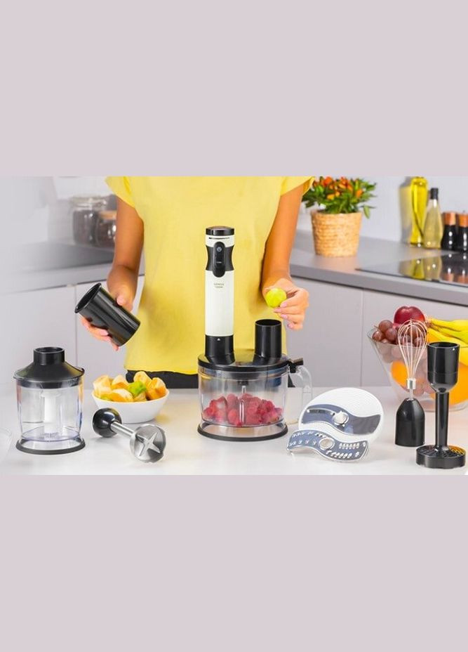 Блендер занурювальний ZHB6500 Zelmer (343274627)