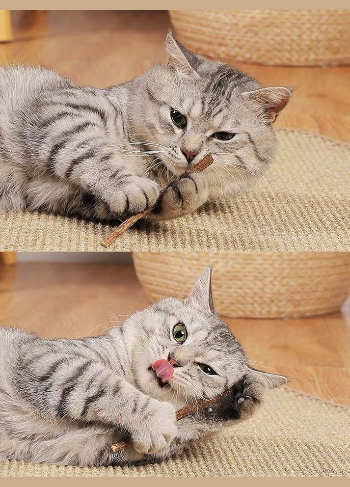 Жевательные палочки для кошек с натурального дерева с кошачьей мятой в наборе из 6 шт No Brand (322594640)