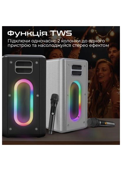 Акустическая система (musicbox.silver) HiFuture MusicBox 100W Silver (366154590)